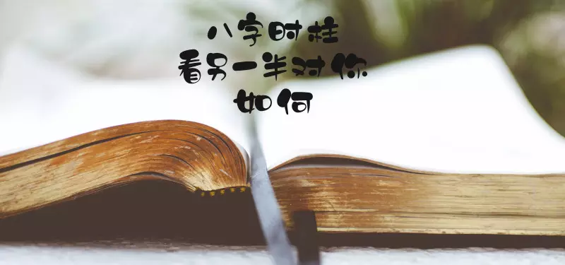 6、八字求測另一半的出現時間和特點：男，乙丑、丁亥、丙寅、戊戌。謝謝！