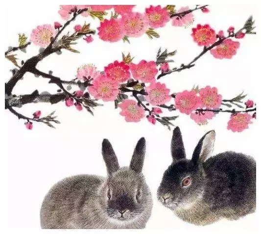 屬兔的什麼顏色最旺感情：屬兔的穿什麼顏色吉利