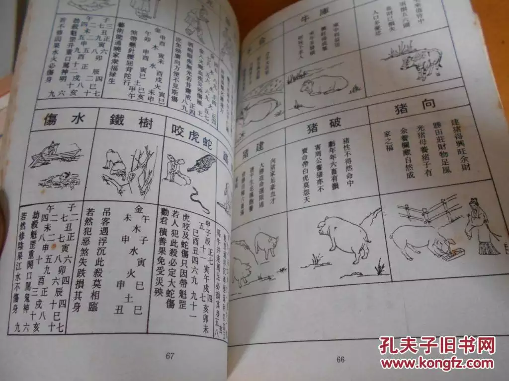 【三算命】書算婚姻子息論夫妻相：臨官；夫...
