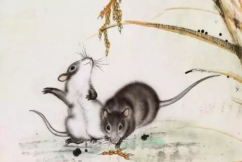86虎人年幸運色：年屬虎女得幸運色