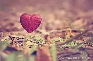 5、測一測緣分:如何測緣分指數？