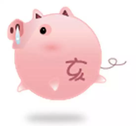 5、屬雞和豬合不合:屬豬的和屬雞的合不合