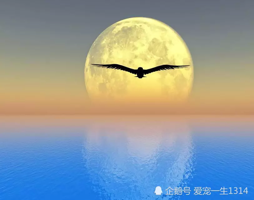 1、另一半何時出現:問另一半什麼時候出現