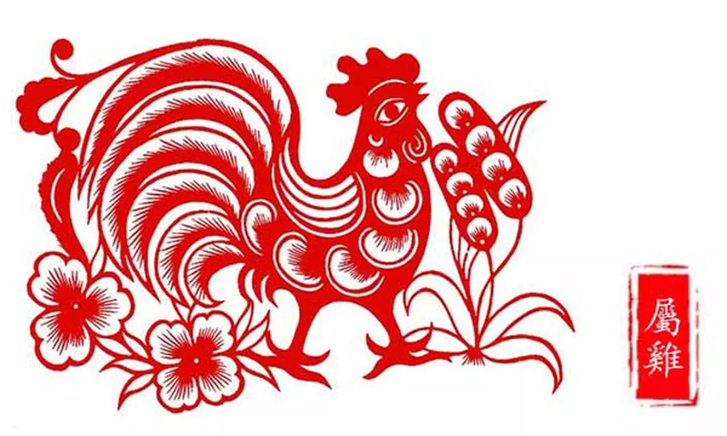 1、屬雞的今年多大:屬雞的今年多大了