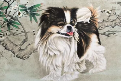 年屬相是什麼：年屬相