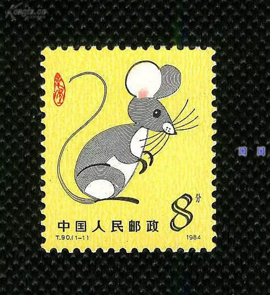 到屬相：年屬相是什麼