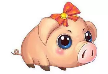 屬豬婚姻配屬什麼最佳：屬相婚配