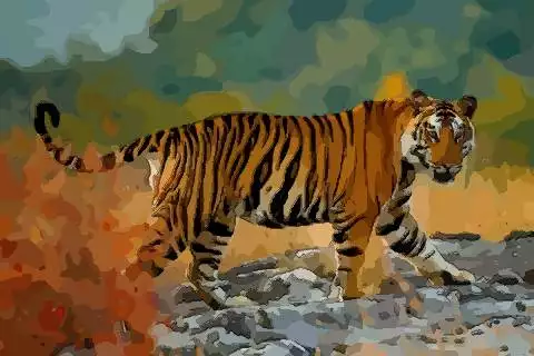 猴爸馬媽適合生什麼屬相的寶寶：猴爸和什麼屬相的孩子相配