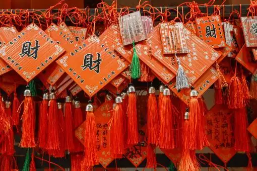 1、年春節鬧:年春節什麼年
