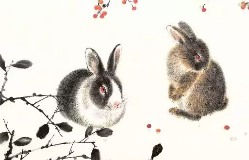 2、年女兔用什麼名字:年屬兔用什麼名字有財?