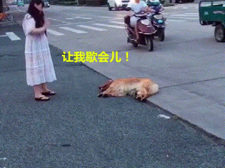 5、狗男與狗女的婚配怎麼樣:男屬狗女屬狗相配嗎