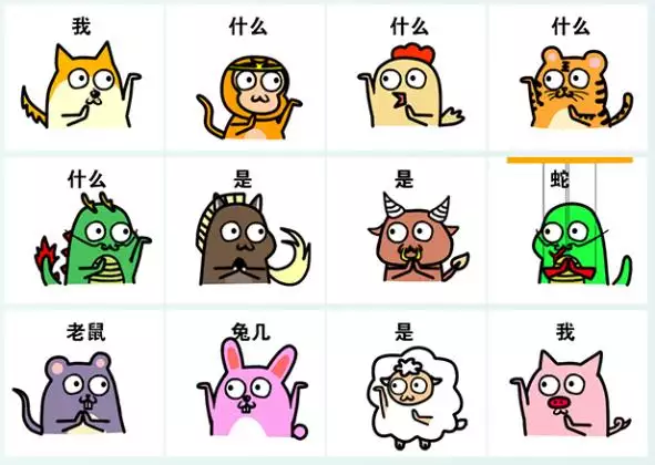 十二生肖屬於哪一種屬相：十二生肖中那幾個大肖？