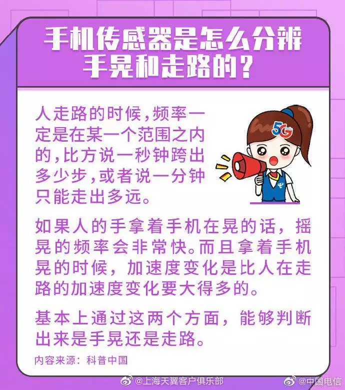 4、正版招財計步:什麼樣的招財貓比較好