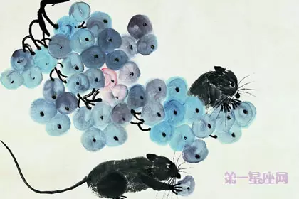 屬鼠上等命的出生時辰：84年屬鼠的幾點生的好