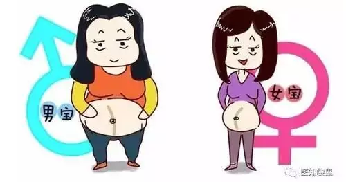 已生男孩的線圖片：生男生女怎麼看的出來