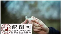 3、瓷都免費算命姓名生辰八字評分:瓷都免費算命生辰八字年7月初六生