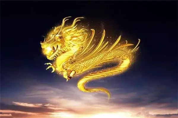年5月出生的龍是什麼命：年的龍是什麼星座5月出生的