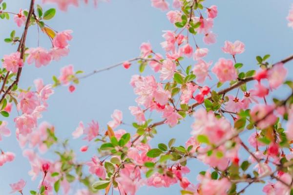 2、招財又吉利的抖音名字:旺運又旺財的抖音名字