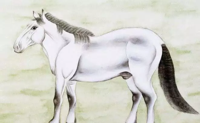 2、年屬馬的姻緣男人:男屬馬馬年年12'月7日出生的婚姻狀況