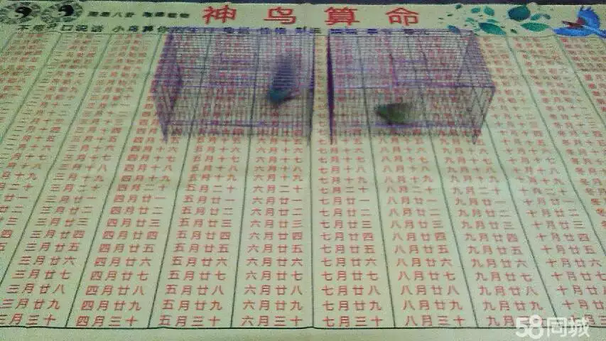 3、免費算命姻緣搖一卦:免費算卦婚姻