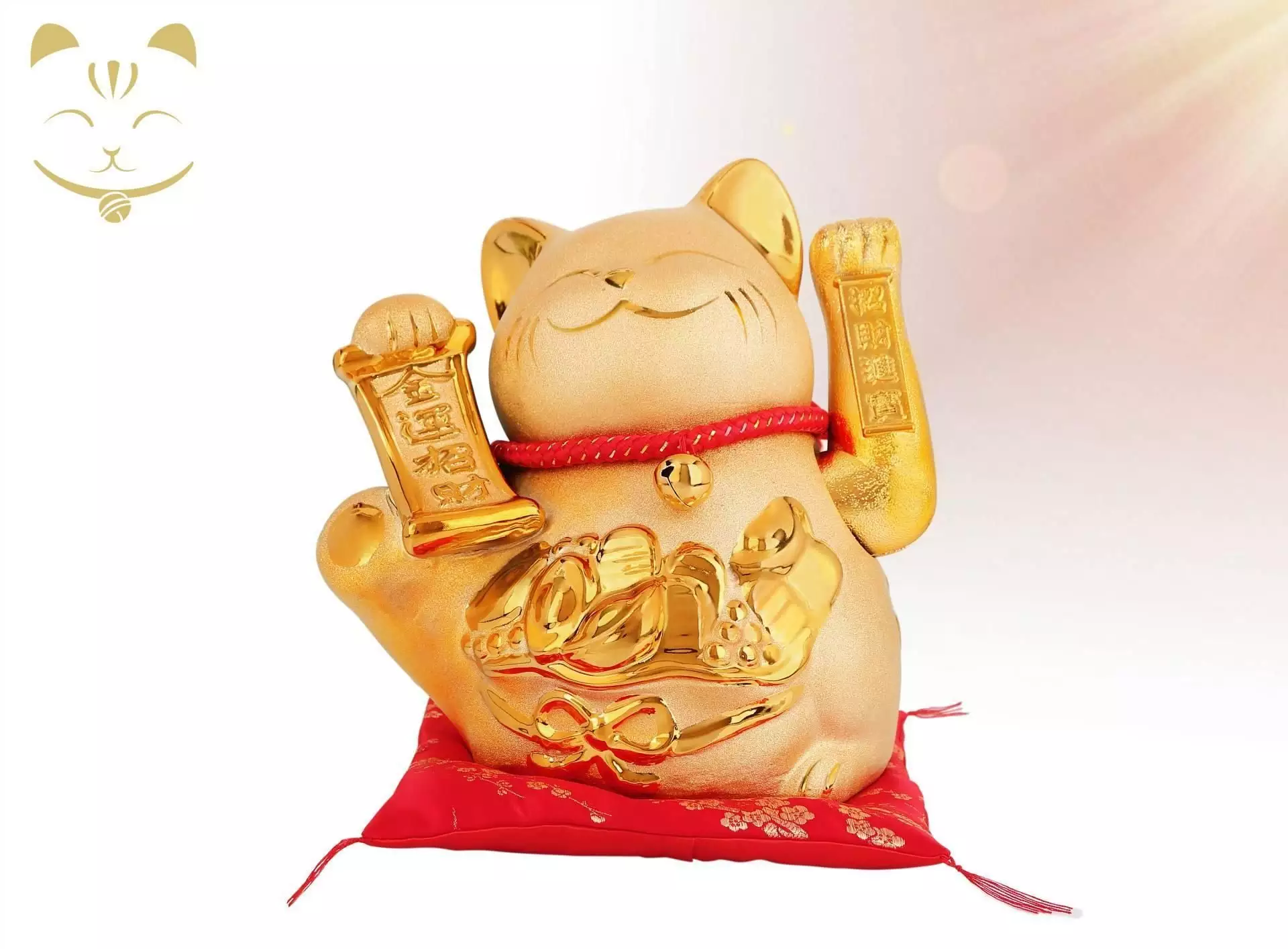 10、招財貓的有多大:金招財貓魚能長多大?