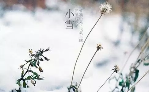 2、結婚遇大雪好不好:結婚下雪有什麼寓意？