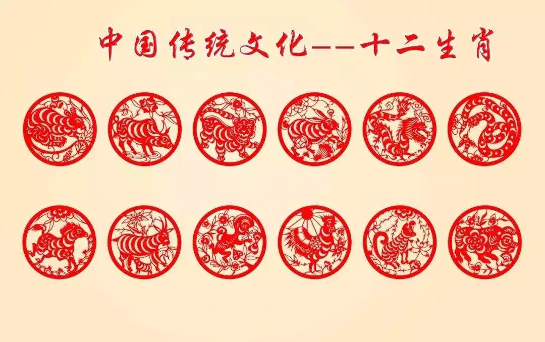 屬虎的屬相和屬兔的婚姻能長久嗎：女屬虎 和男屬兔在一起會怎樣？？