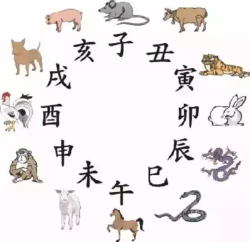 2、十二生肖豬的婚配運勢:十二生肖屬豬配什麼屬相好