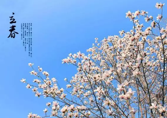 3、年立春后時來運轉的生肖:年十二生肖年齡對照表