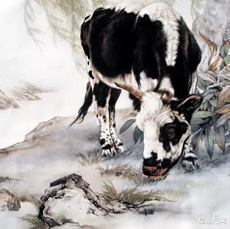 合資人屬相的化解方式：生意屬相同伴相剋怎麼辦