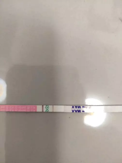 有沒有測女寶的試紙：有測男孩女孩的試紙嗎