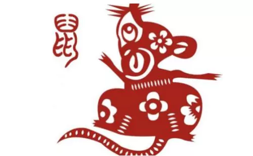 84年屬鼠一生命運如何：84年屬鼠和屬兔87年五行是一生命運如何