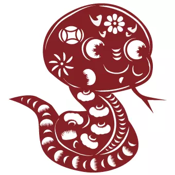 2、屬龍和屬蛇的婚配怎樣:屬龍和屬蛇的姻緣怎麼樣