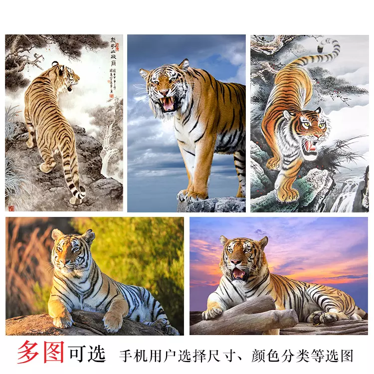 1、屬虎人永遠最旺的顏色:屬虎人的幸運顏色是什麼