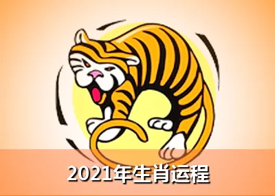 虎生肖年運勢詳解：屬虎的人年多大