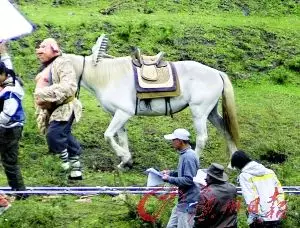 4、女馬2月和男馬9月婚配:女97年2月的牛跟男90年9月的馬合適么