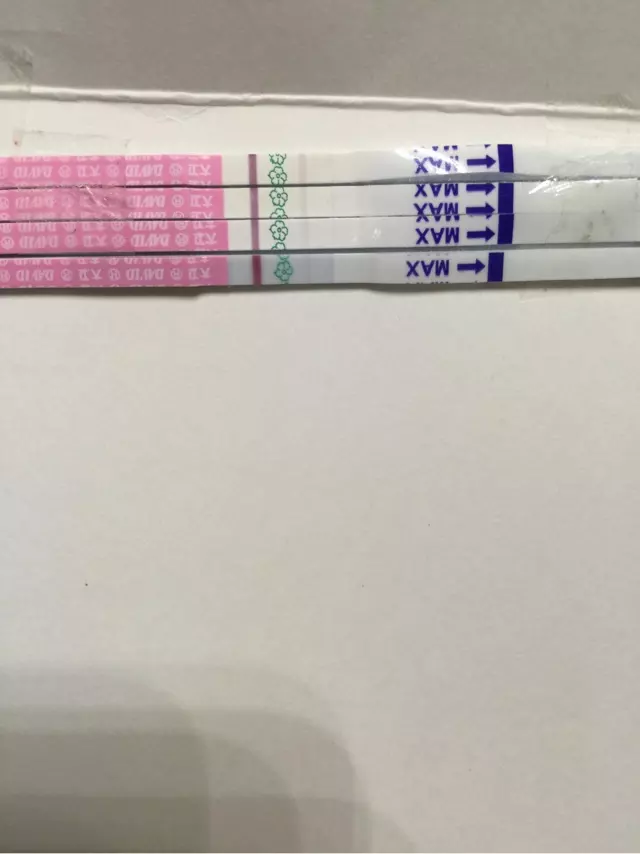 測男女試紙准嗎有沒有寶媽用過：有種測男女的試紙,大家有試過嗎