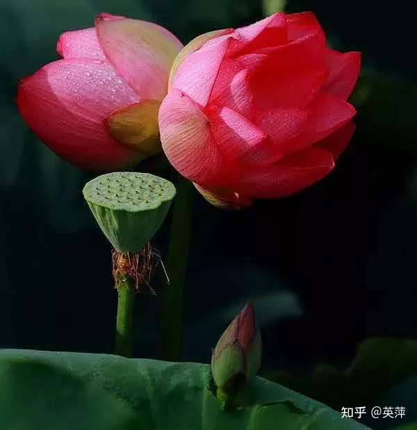 6、的人必須渡情劫:路上渡情劫，怎樣渡