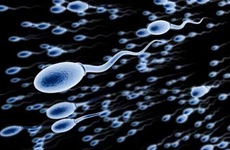 3、最靈生男孩的方法:女人怎樣容易生男孩 生男孩的科學方法？一心求子