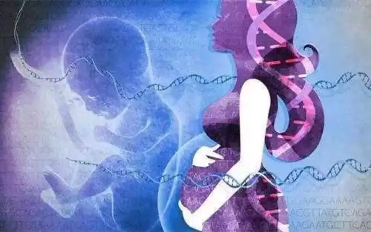 1、近親婚配發生基因突變:近親娶親會使得基因進化么？