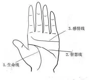 1、看手相算命免費:免費在線看手相