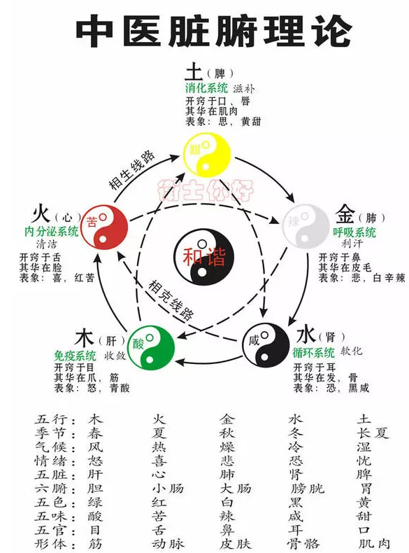 金木水火土屬相查詢表：十二生肖號碼金木水火土各是哪個
