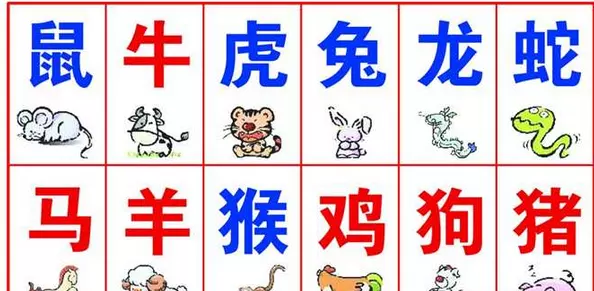 鼠女和鼠男相配嗎屬相婚配：男女生肖屬鼠配婚好以么