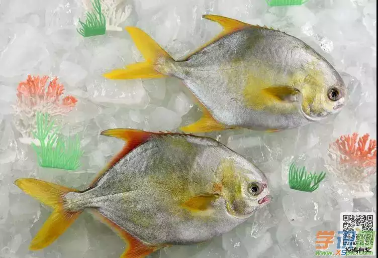 夢見一半死魚一半活魚：夢見有死魚還有活魚還有半死不活的（請幫我解一下，拜託）