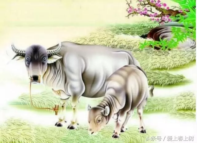 4、屬牛的今年運勢怎麼樣後半年:屬牛的在那一年裡運氣好