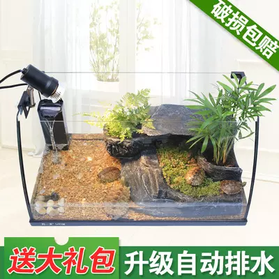 養龜放在什麼位置養對家庭旺：按風水學烏龜放在家的那個方位比較好?