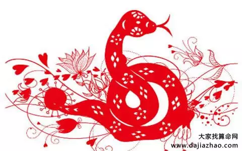1、屬蛇女生婚配:屬龍的生肖配對錶