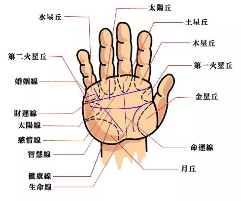 手相能看出自己有幾個孩子嗎：男人手相能看出有幾個孩子嗎