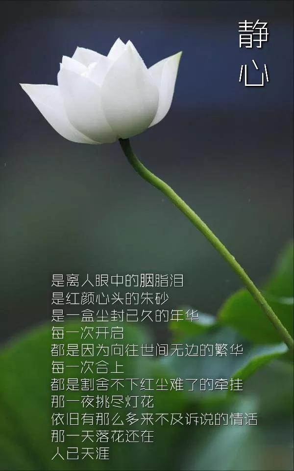 2、為什麼有些緣分斷不了:是不是有時候緣分就這麼說斷就斷了