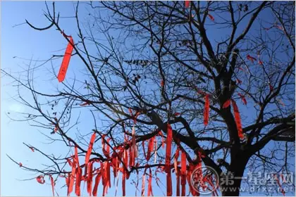 2、婚姻樹易奇八字財富船免費測試:有個測試軟件如易奇八字軟件推出的婚姻樹算的准嗎？！